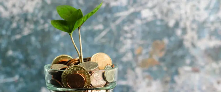 green plant in clear glass vase